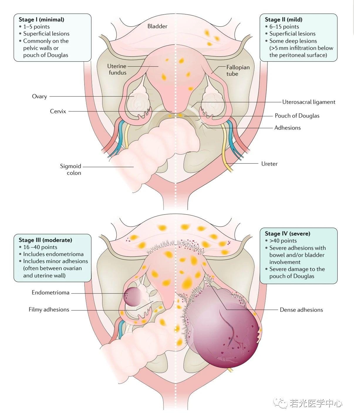 遗传与药理网 遗传与药理网