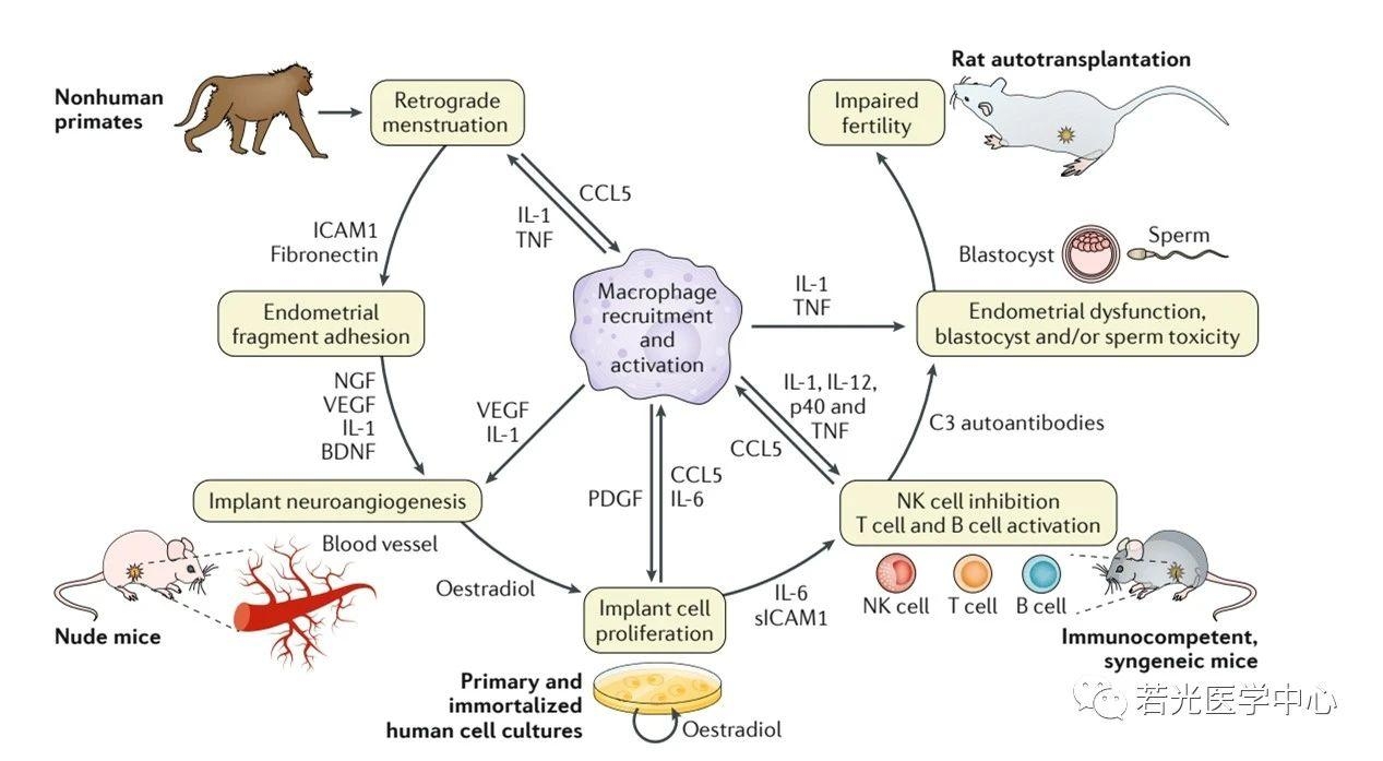 遗传与药理网 遗传与药理网