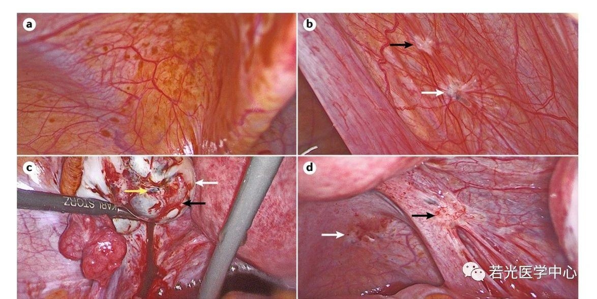 遗传与药理网 遗传与药理网