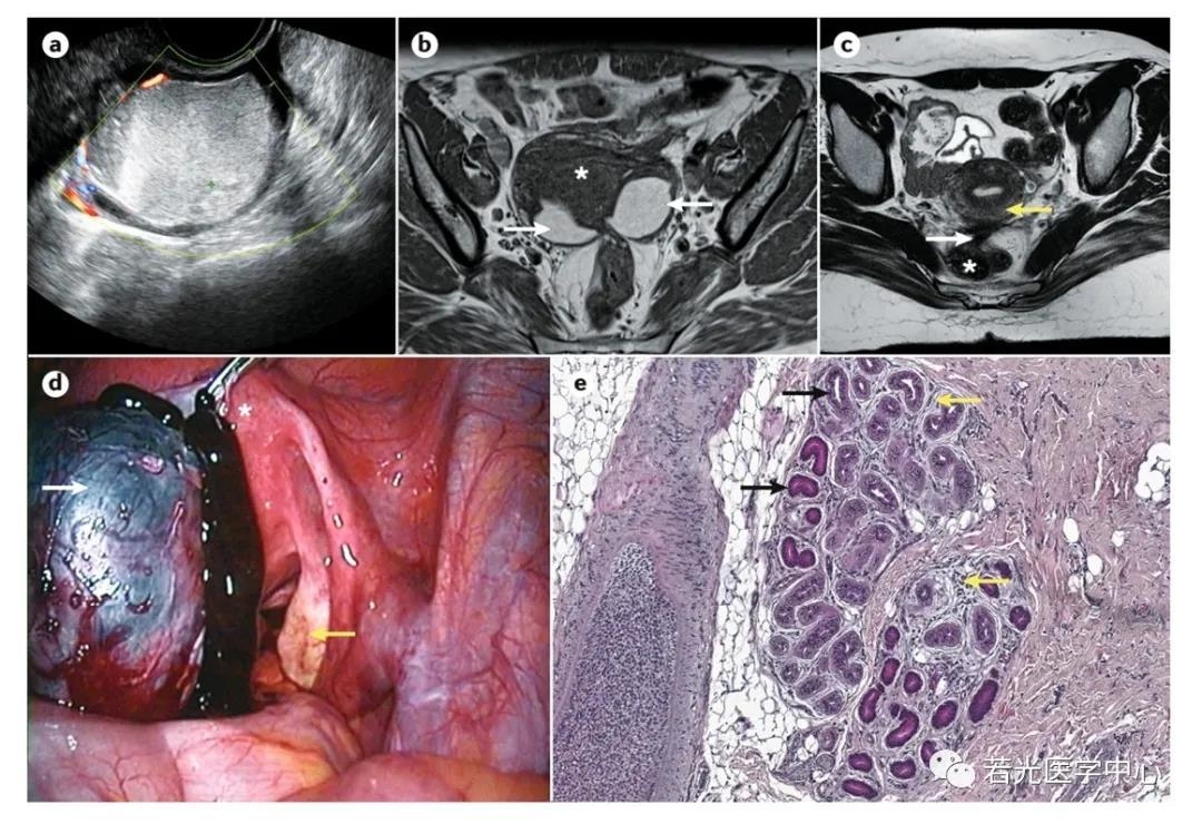 遗传与药理网 遗传与药理网